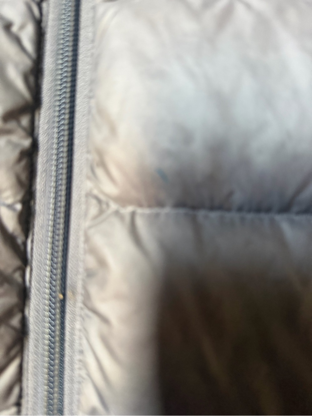 Market & Spruce Lightweight Quilted Feather Down Puffer Jacket - Picture 5 of 5